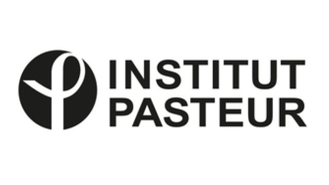ip